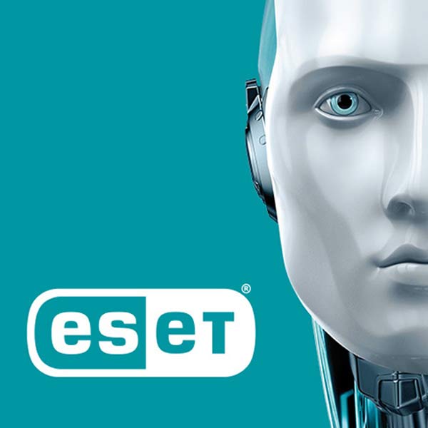 <?php echo pulse_output(); ?></noscript>